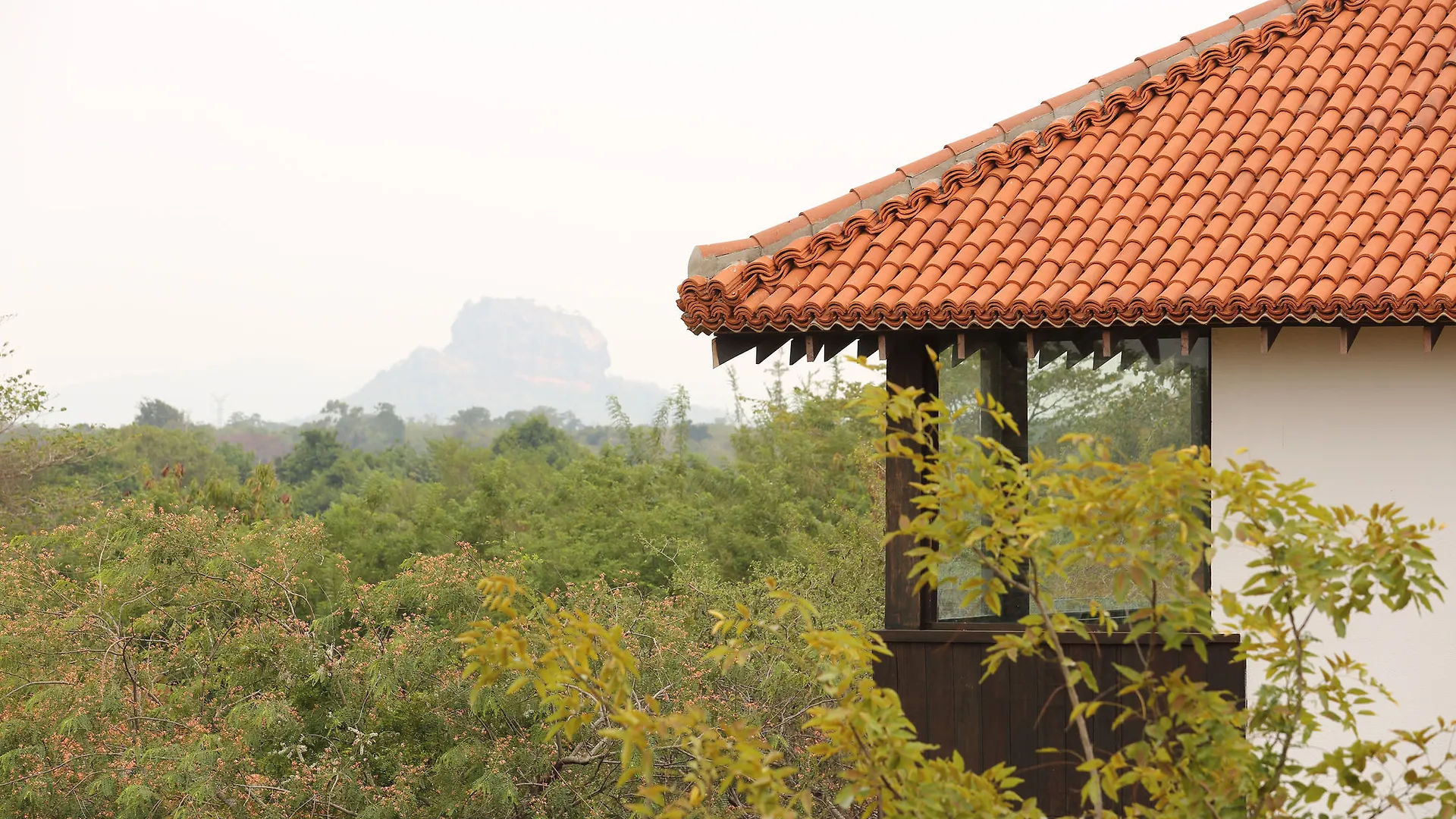 Sigiriya Jungles Hotel