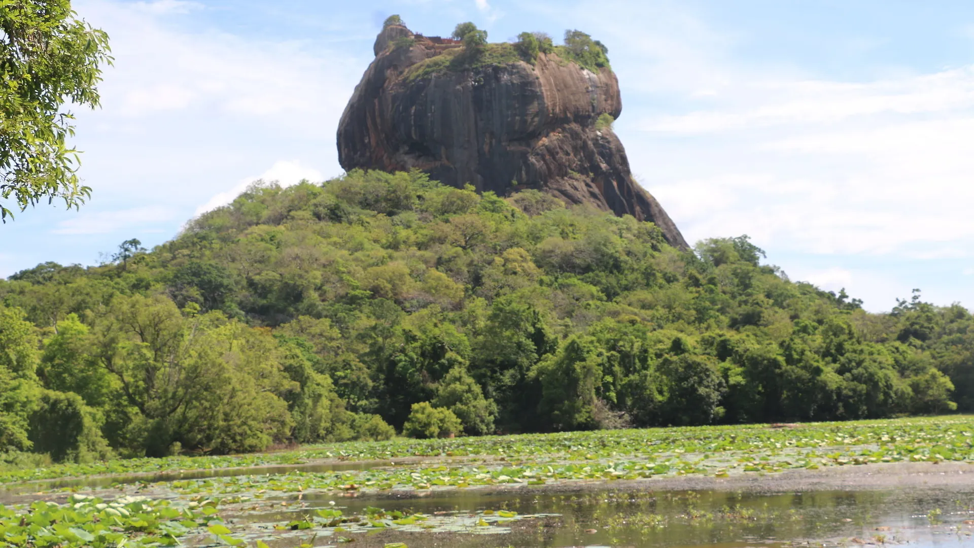 Resort Sigiriya Jungles Hotel